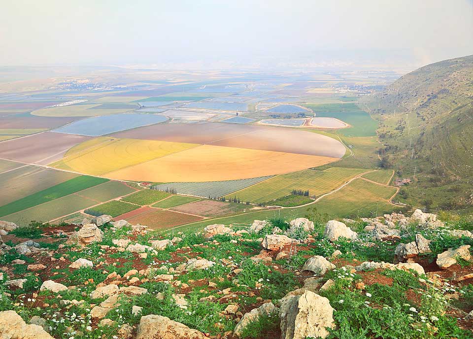 ברטה מעדנים
