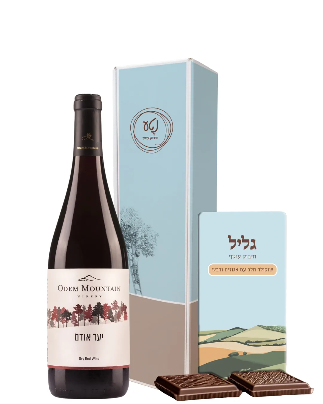 Tom Gift Box — Boutique Wine & Fine Chocolate