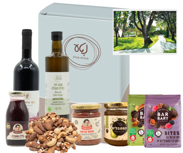 get-well gift to Israel — Family Embrace premium comfort box