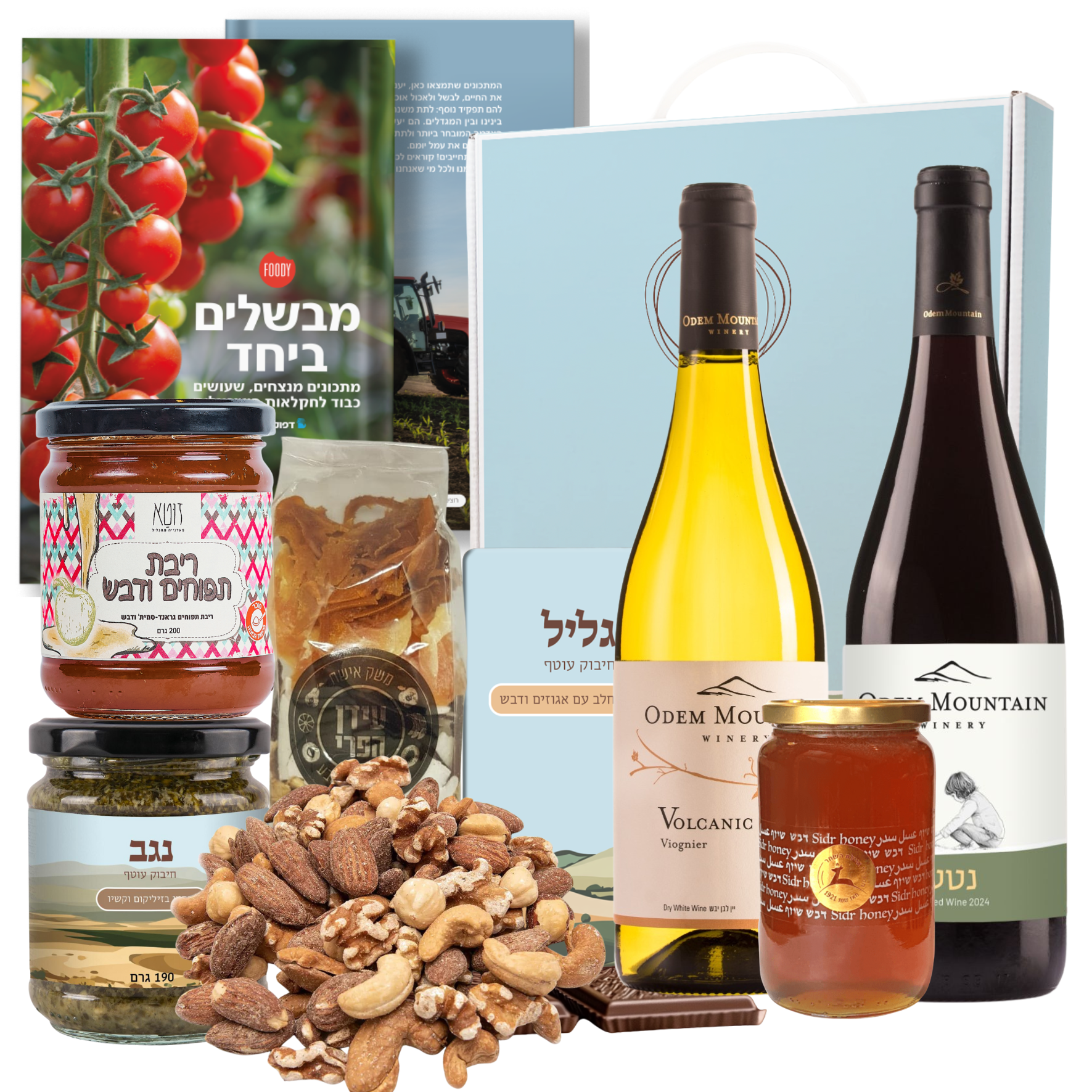 birthday gift to Israel — Tzvia premium keepsake box